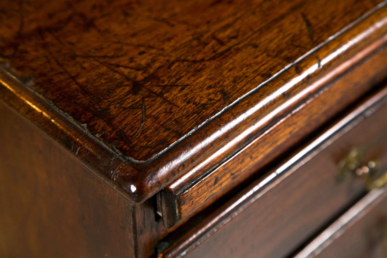 English Mahogany Chest