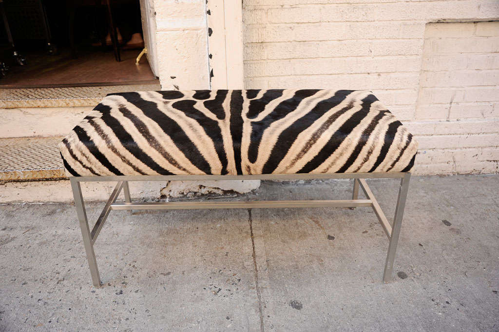 African Zebra Skin Ottoman with Polished Chrome Legs In Good Condition In New York, NY