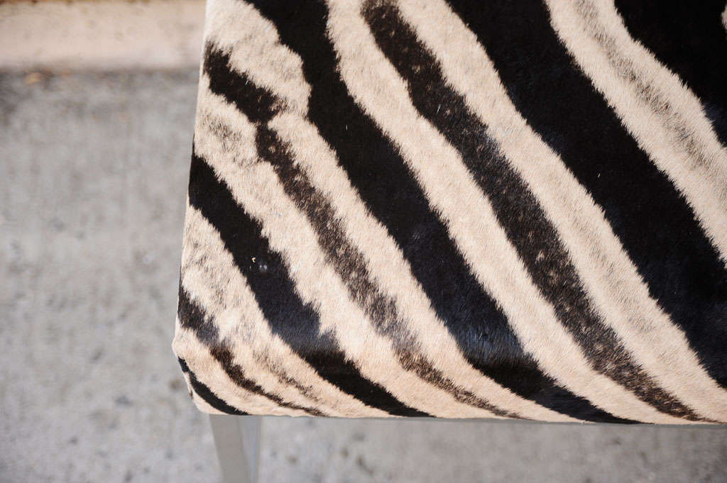 Zebra Hide African Zebra Skin Ottoman with Polished Chrome Legs