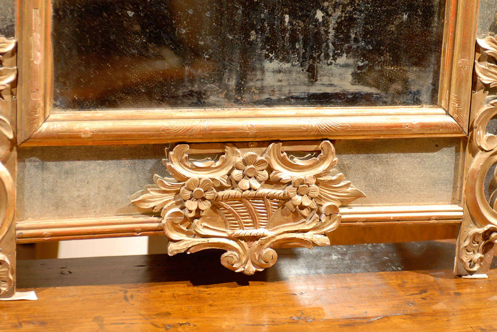 French Regence Style Gilt Wall Mirror with Antiqued Glass 3