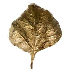 Tommaso Barbi Large Leaf Italian Sconce