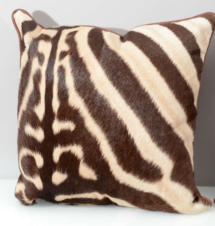 American Genuine Zebra Pillows