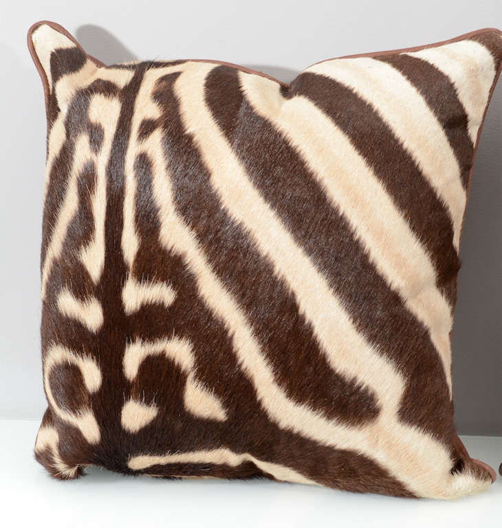 Genuine Zebra Pillows For Sale at 1stDibs