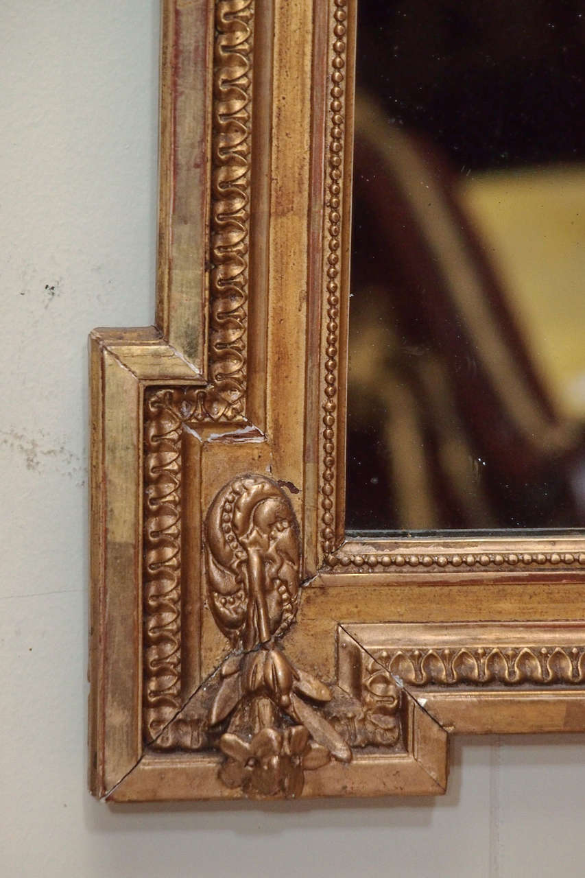 Antique French Louis XVI Gold Leaf Mirror circa 1880 4