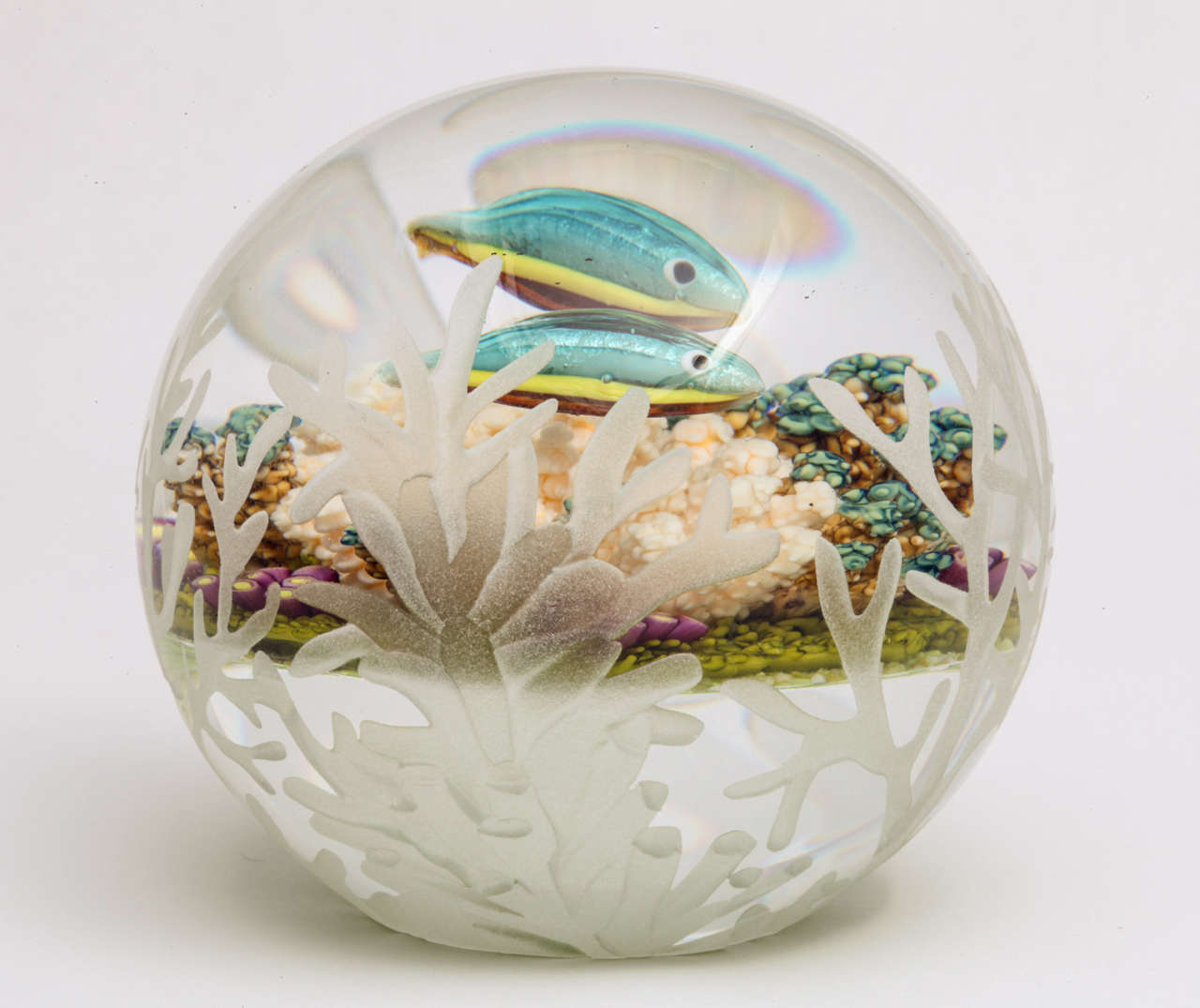 A beautiful Cathy Richardson rainbow fish paperweight with two rainbow fish swimming above a coral ground, the outside sandblasted in a coral pattern