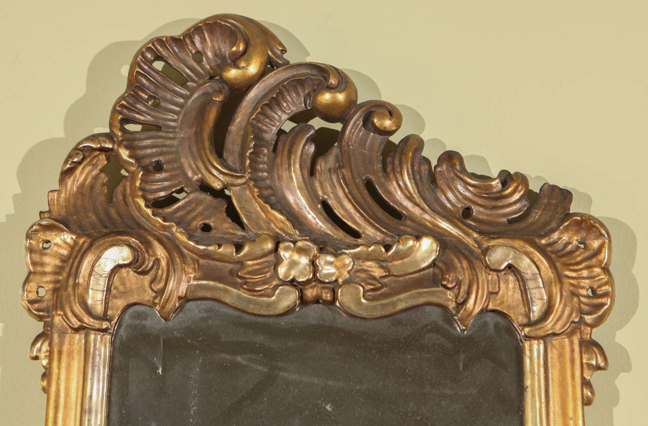 Italian Carved and Gilt Rococo Mirror  In Distressed Condition In Los Angeles, CA
