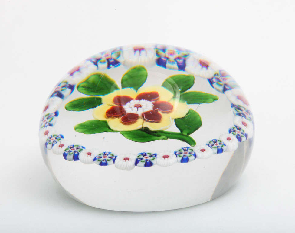 A rare antique Baccarat garlanded two tone flower paperweight, the inner red clematis petals and the outer yellow and white buttercup petals, star cut base