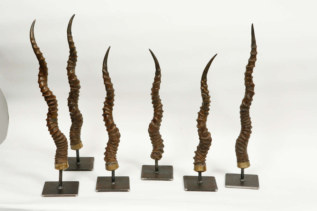 These original pieces are made with antique black buck antelope horns in brass casings mounted on steel stands. These unique decorative statement pieces will add interest in a variety of settings.