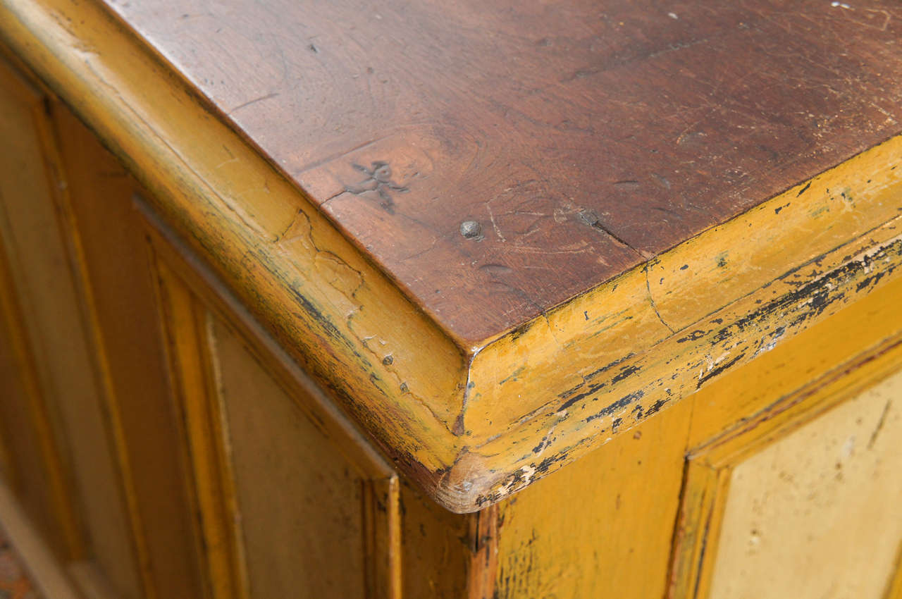 Painted General Store Counter 3