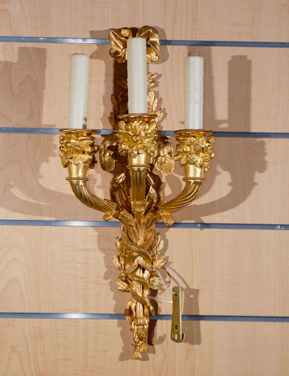 Exquisite pair of gilt bronze sconces, note the incredible detail! Three lights.