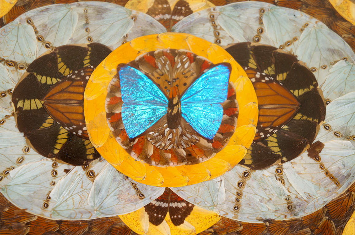 Butterflies