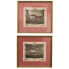 Pair of Engravings of Fine Blooded Horses