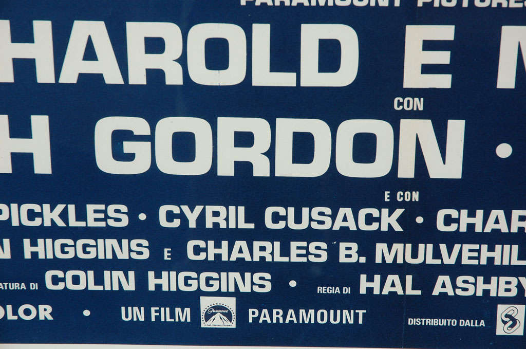 Large Italian Poster for HAROLD AND MAUDE - Custom Framed 4