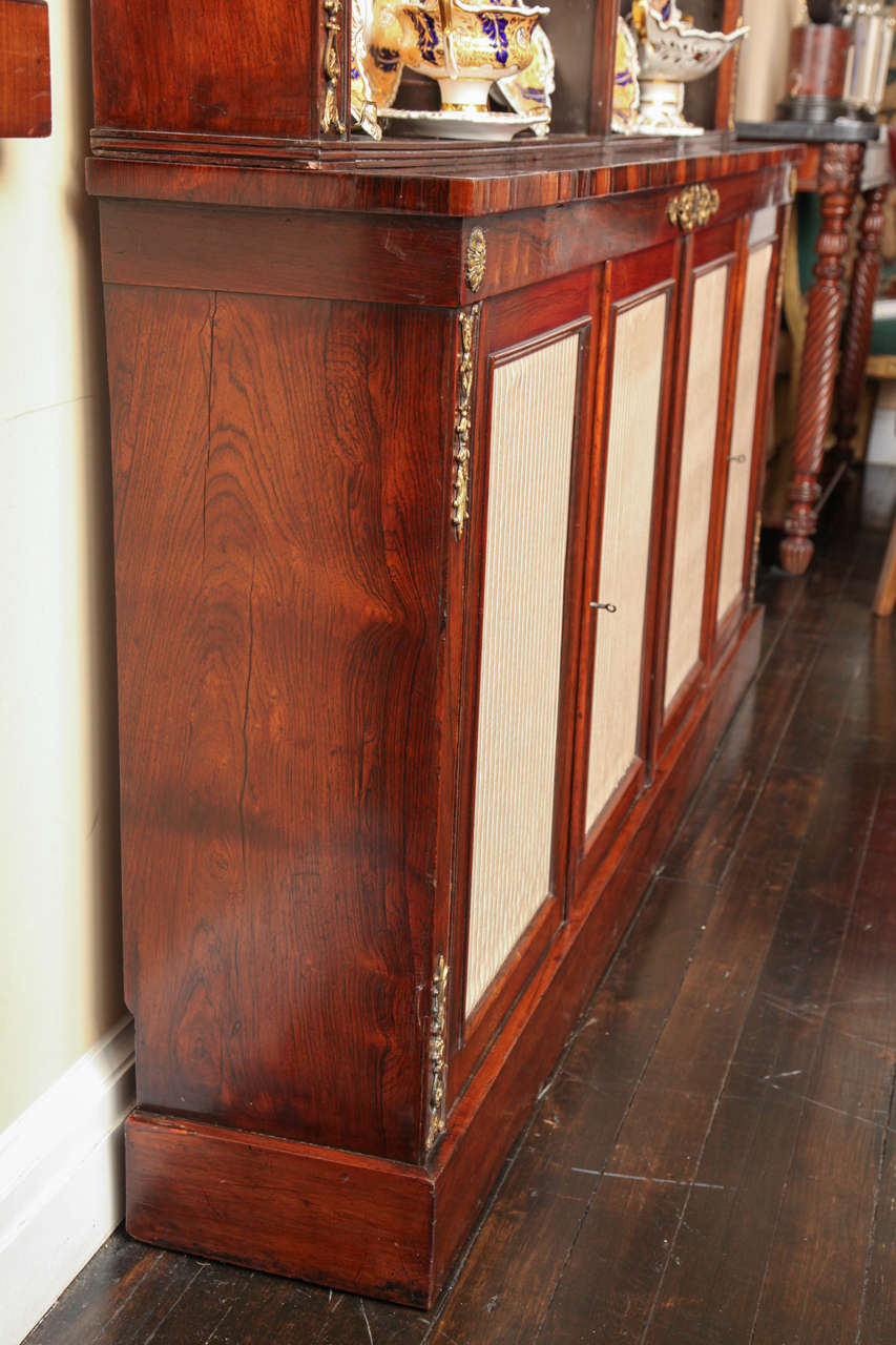 English Regency Bronze Mounted Bookcase 6