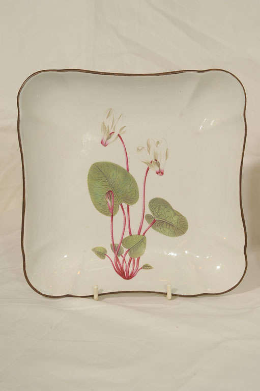 Antique Botanical Creamware Dishes