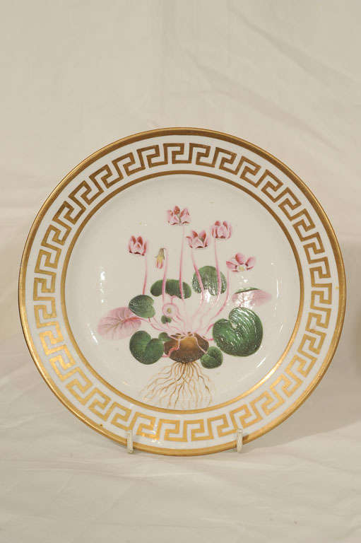 Pair Antique Porcelain Botanical Dishes with Greek Key Borders