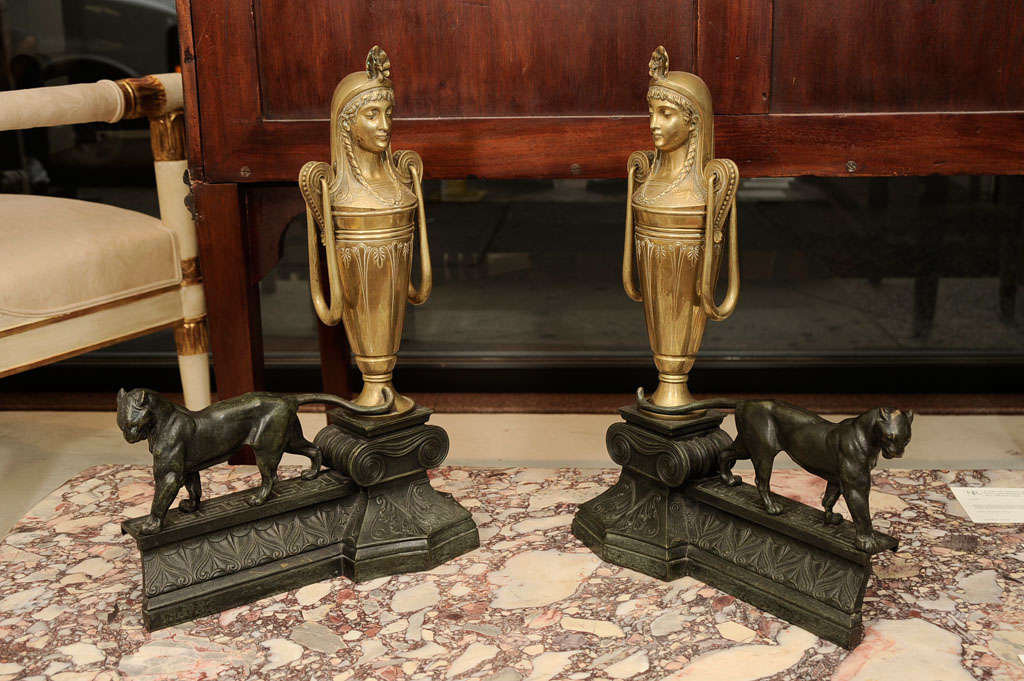 A Pair of Neoclassical Bronze Andirons For Sale 2