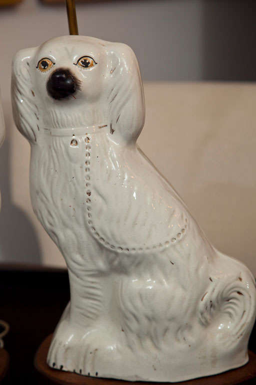 19th Century Pair of Staffordshire Spaniel Dogs as Table Lamps
