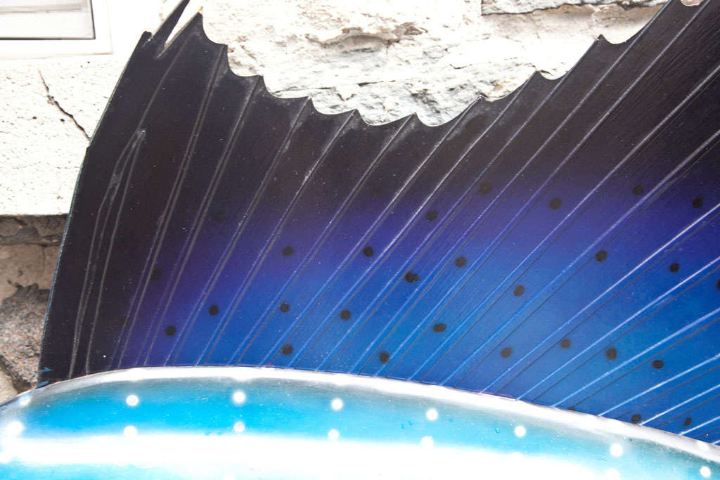 sailfish skeleton