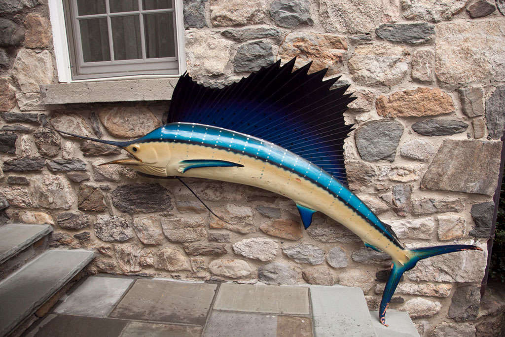 The perfect conversation piece for your wall. Large vivid & dramatic Sailfish caught on a honeymoon fishing trip in the 1950's.