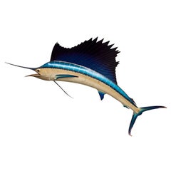 Vintage Taxidermy Sailfish Wall-Mount