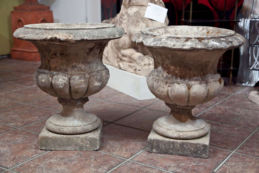 Pair of carved stone urns semi lobed bowl round foot on square base.