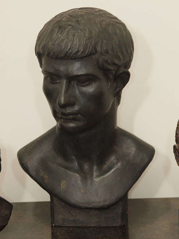A Collection of Busts in Bronze and Plaster For Sale 3