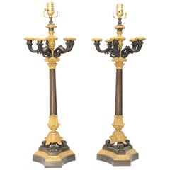 Antique Pair of 19th Century French Bronze Candelabra Lamps