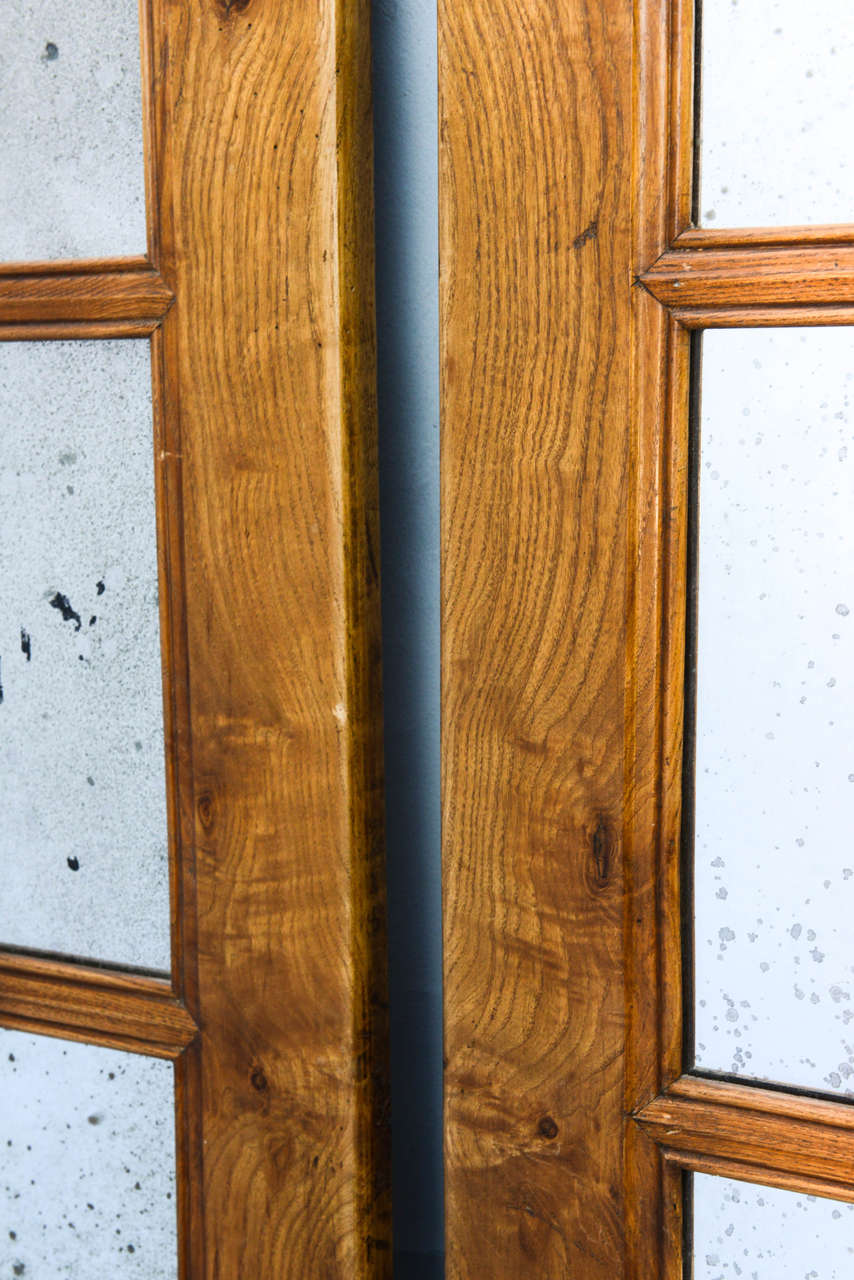 Mirror Pair of 19th Century Burl Wood Door 