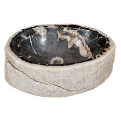 A Petrified Wood Sink - SOLD