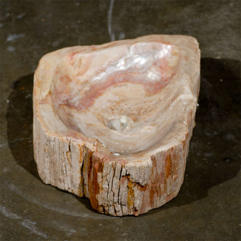 A Petrified Wood Sink Of Light Color at 1stdibs