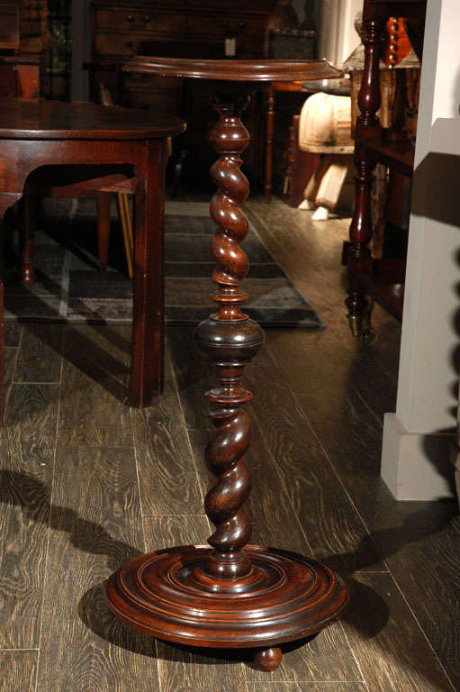 A Barley twist stand in walnut with a molded edge circular top and base on ball feet.
