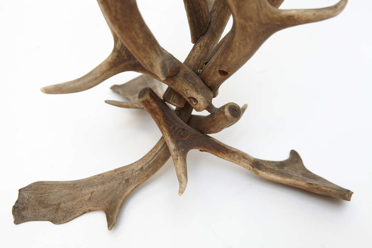 Folk Art Antler Cache Pot