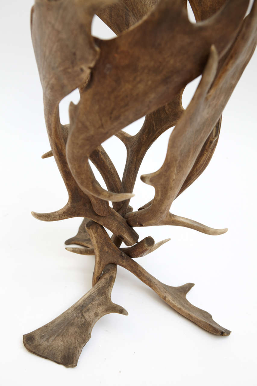 19th Century Antler Cache Pot