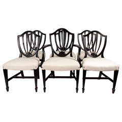 Six Hepplewhite Style Chairs