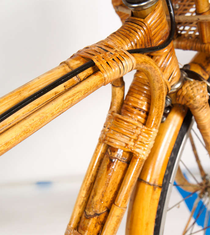 Rattan Covered Bicycle 1