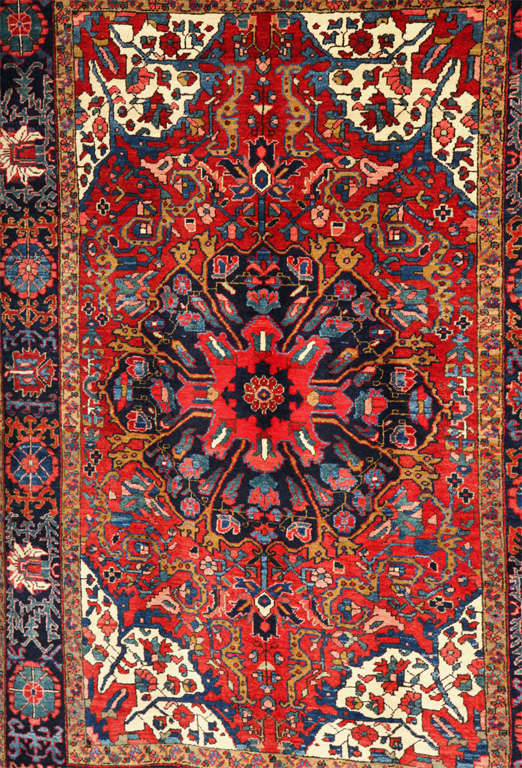 5x6 rugs for sale