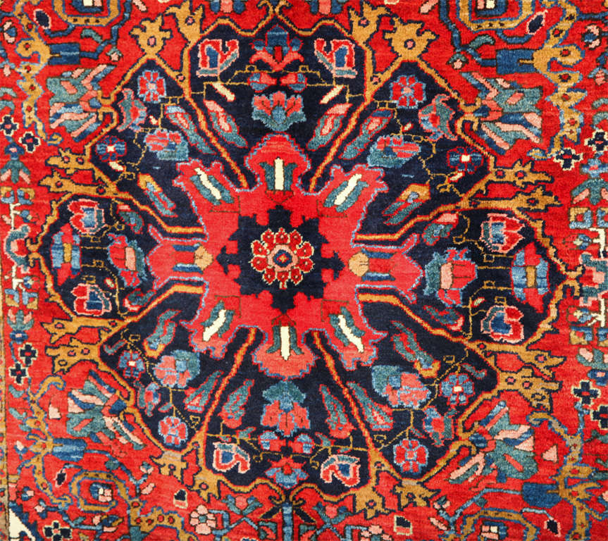 5x6 rugs