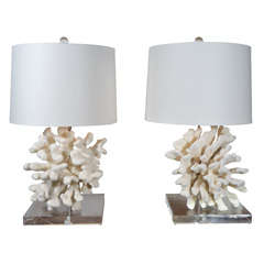 Coral Lamps