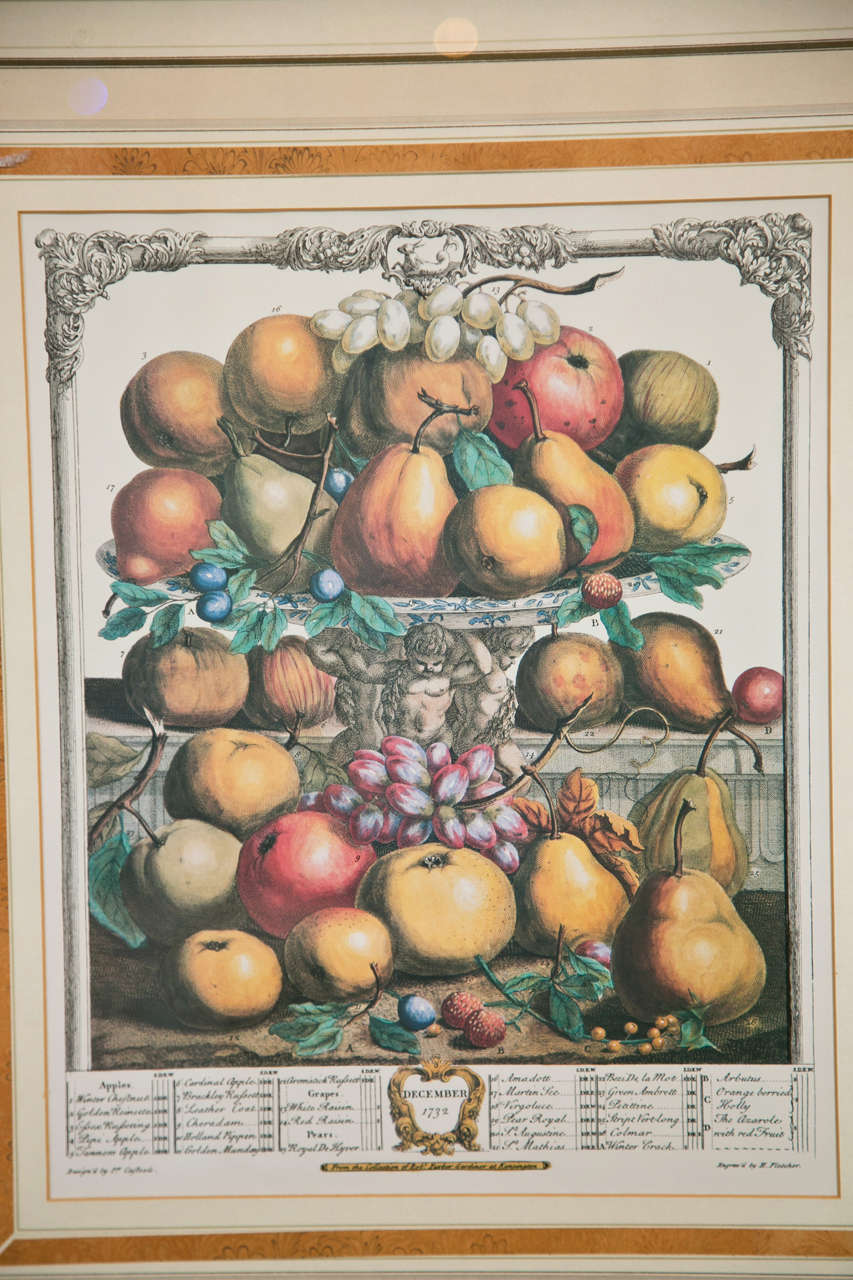 Set of five prints of fruit, each matted and set in an ebonized and parcel-gilt frame, decorated with small patera on four corners.