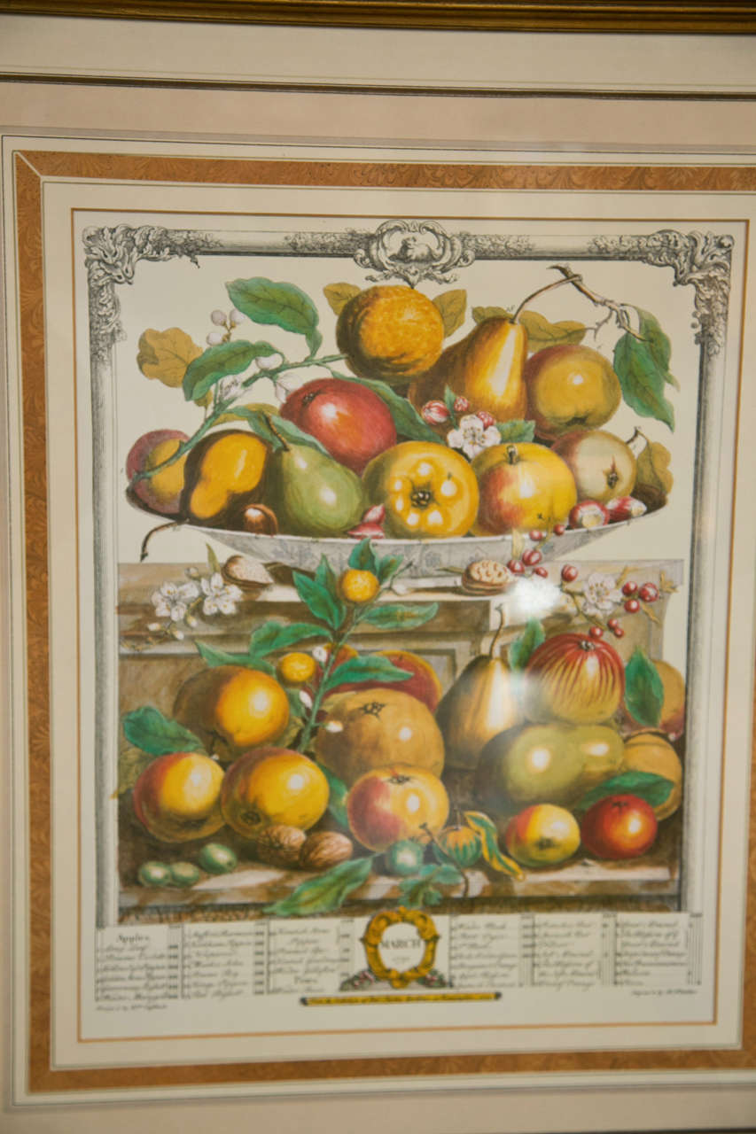 Set of Five Framed Prints of Fruit Each Matted Ebonized And Parcel Gilt Frame In Good Condition In Stamford, CT