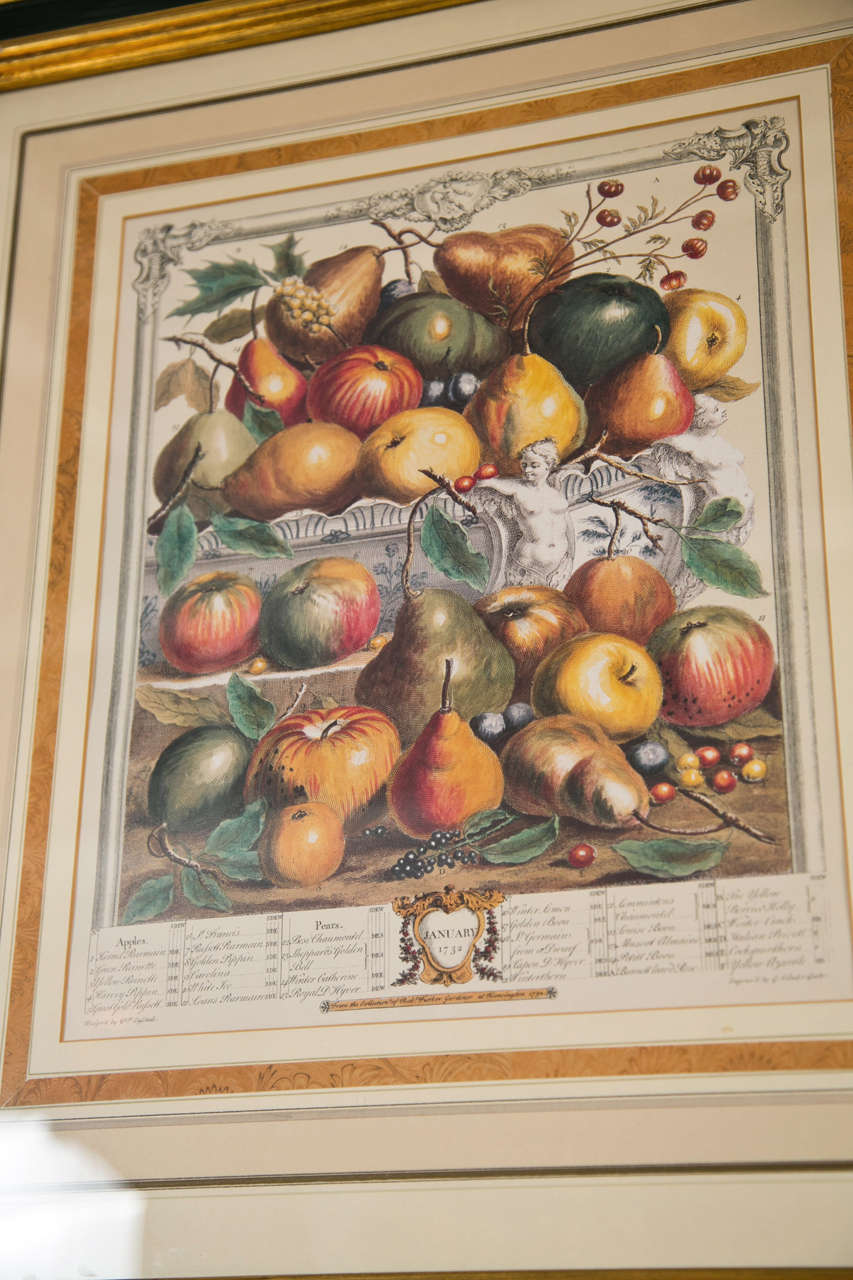20th Century Set of Five Framed Prints of Fruit Each Matted Ebonized And Parcel Gilt Frame