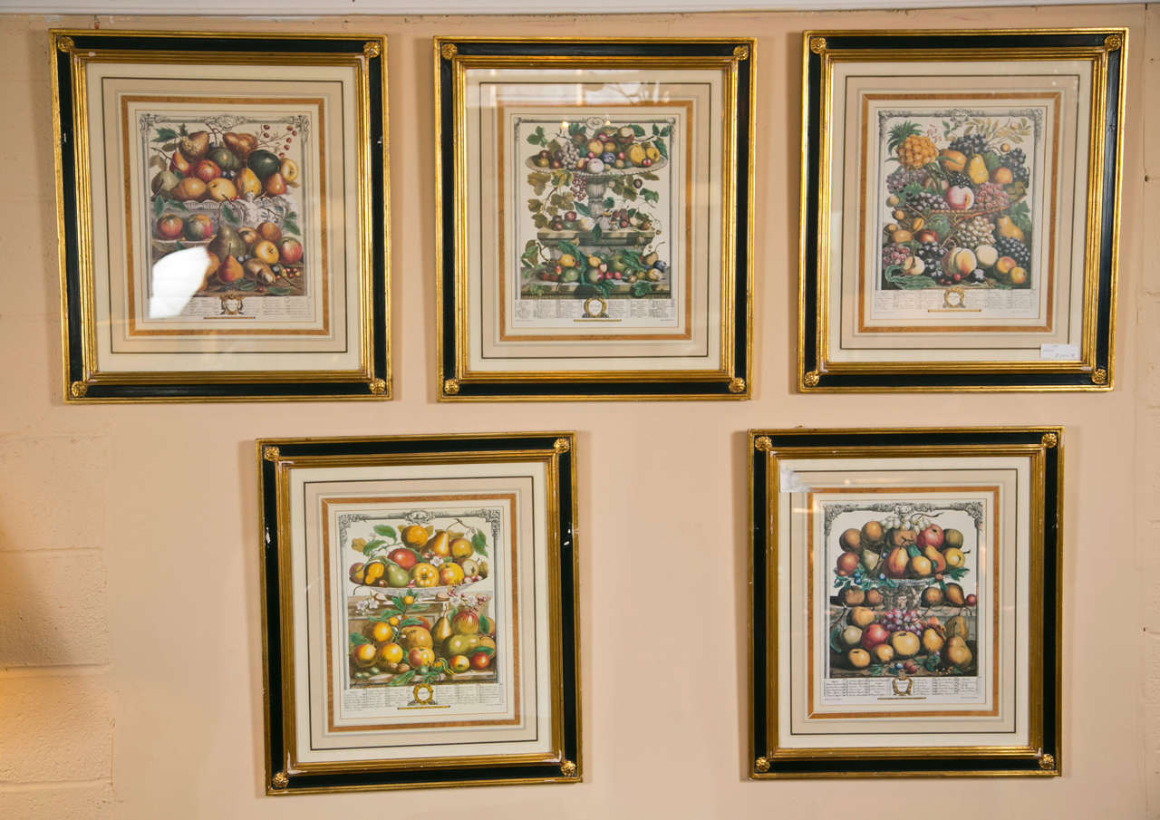 Set of Five Framed Prints of Fruit Each Matted Ebonized And Parcel Gilt Frame 2