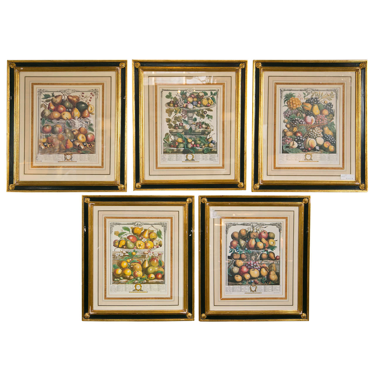 Set of Five Framed Prints of Fruit For Sale at 1stdibs