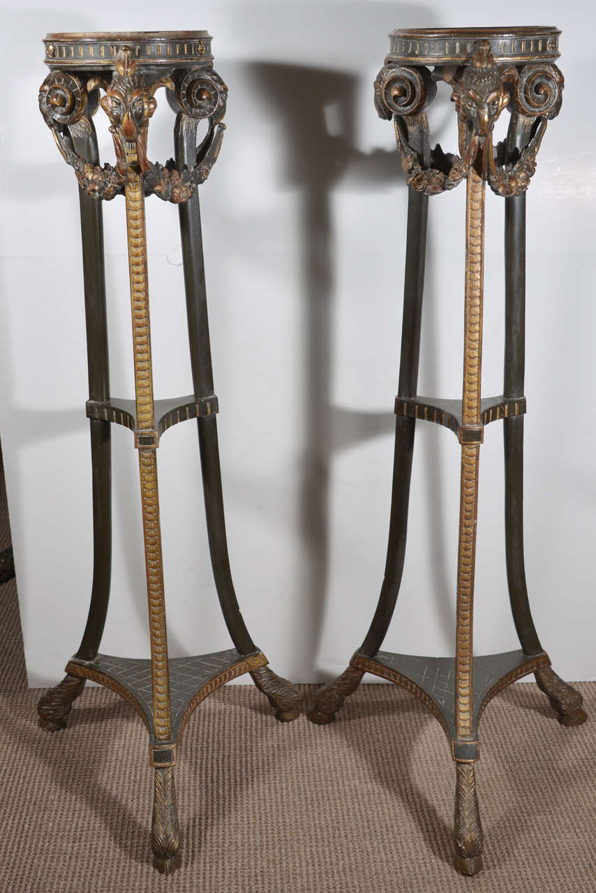 Pair of Adam Style Pedestals circa 1900