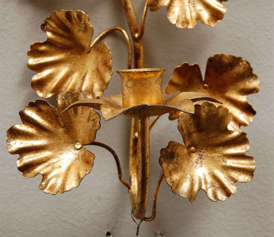 Italian Gilded Candelabra Sconces