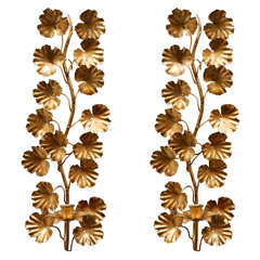 Italian Gilded Candelabra Sconces