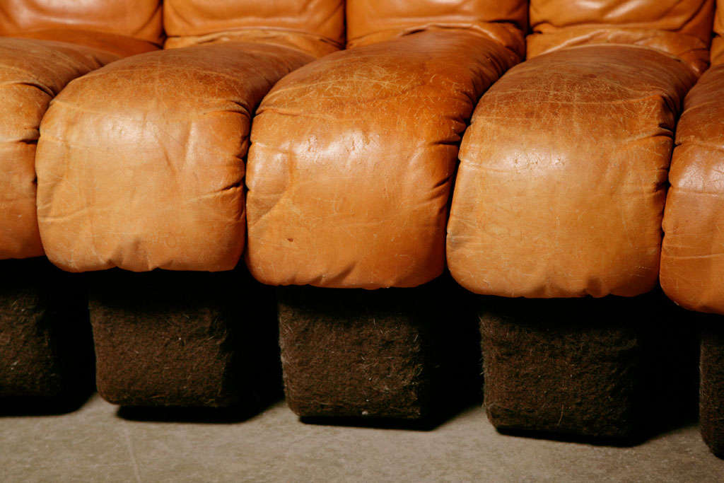 Swiss De Sede ds600 endless sofa