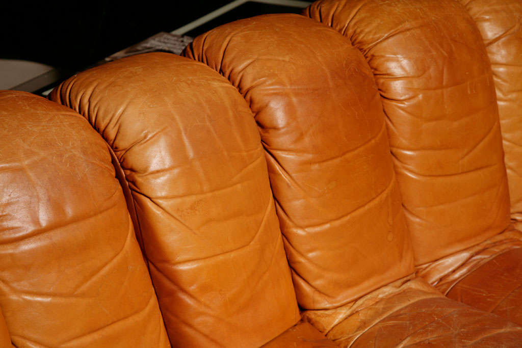 Leather De Sede ds600 endless sofa