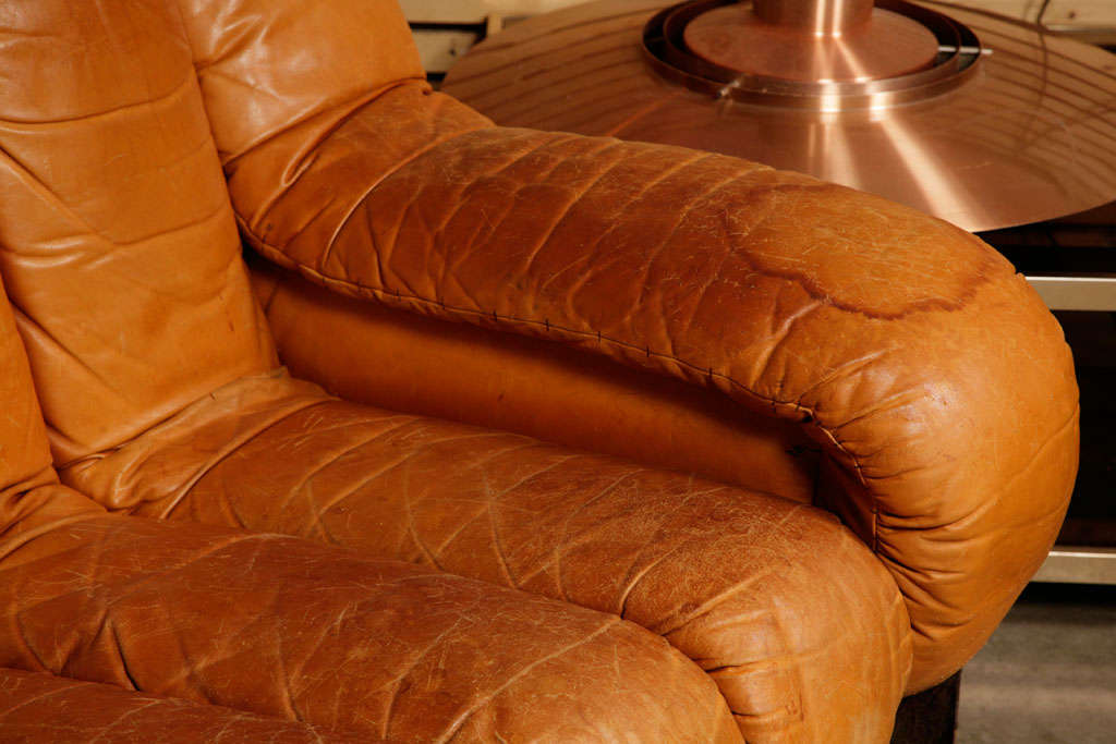 De Sede ds600 endless sofa 1